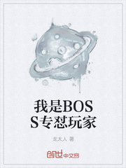 我是BOSS专怼玩家